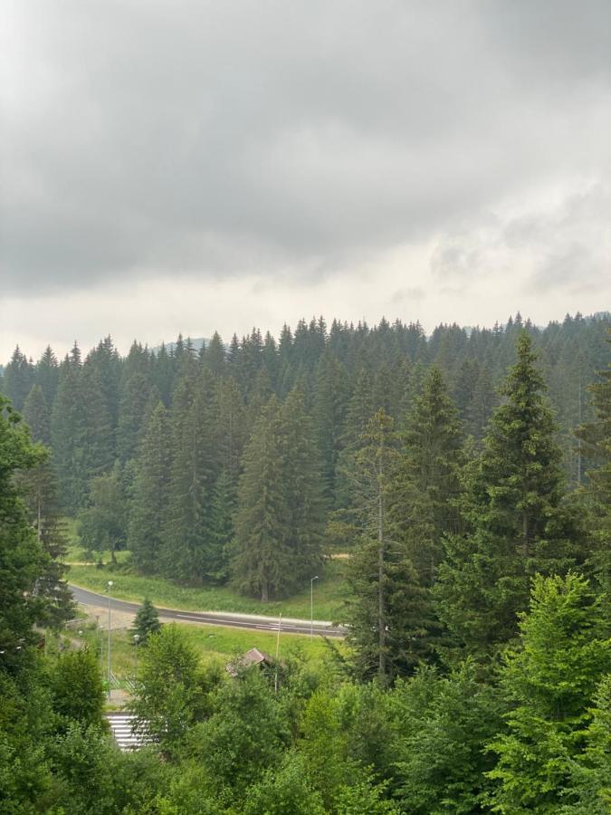 Silver Mountain C24 Royal Пояна-Брашов Экстерьер фото