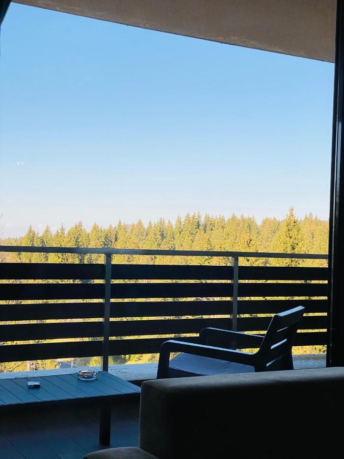 Silver Mountain C24 Royal Пояна-Брашов Экстерьер фото